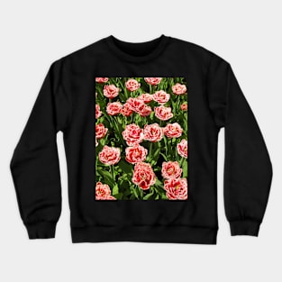 Red Fringed Tulips Crewneck Sweatshirt